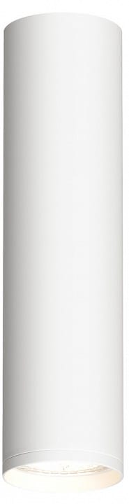 Накладной светильник Denkirs DK2000 DK2052-WH