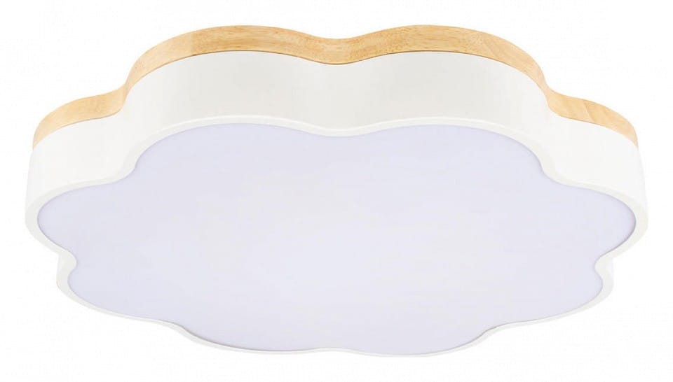 Накладной светильник Loft it Axel 10225/36 White
