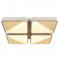 Потолочная люстра AM-Group AM224 AM224-64W