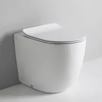 Унитаз приставной Artceram File 2.0 FLV007 05 00 безободковый, торнадо, белый матовый