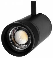 Светильник на штанге Lightstar Canno Pro 304407