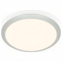 Накладной светильник Ambrella Light FF FF49