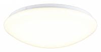 Накладной светильник Omnilux Berkeley OML-43007-40