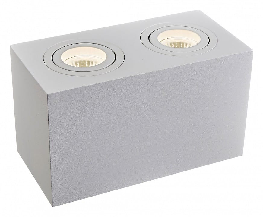 Накладной светильник Maytoni Technical Атом C017CL-02W