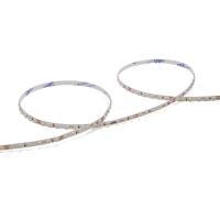 Лента светодиодная Wolta WLS2835-10W/6500/24H120-03