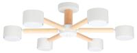 Потолочная люстра Arte Lamp TENDA A1624PL-6WH