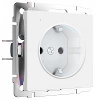 Розетка с заземлением с подсветкой без рамки Werkel DBQ29 W1171461