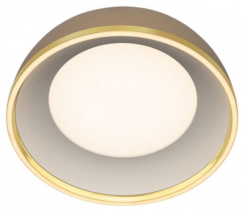 Накладной светильник Citilux FLOOM CL736152