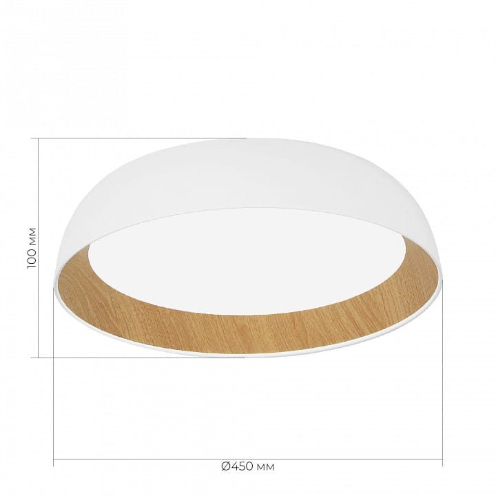 Накладной светильник EVOLUCE MUSE SLE1812-502-01