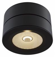 Накладной светильник Maytoni Technical Treviso C023CL-L20B