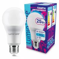 Лампа светодиодная Luminarte E27 25Вт 6500K LSTD-A65-25W6KE27