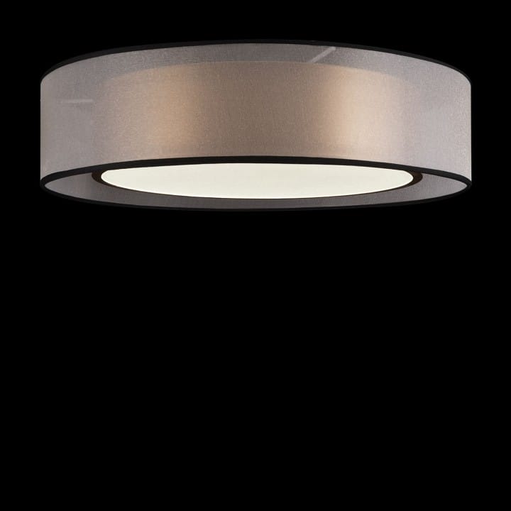 Накладной светильник Freya Зотикус FR6005CL-L36G