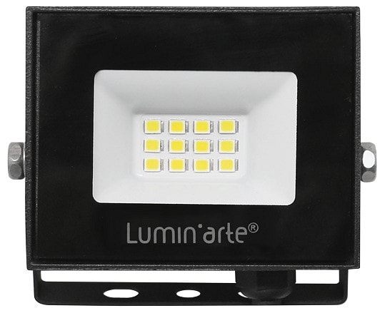 Настенно-потолочный прожектор Luminarte LFL LFL-10W/06