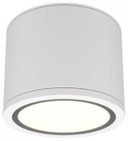 Накладной светильник Maytoni Rendo C095CL-GX53-W