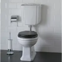 Чаша напольного унитаза с вертикальным выпуском Globo Paestum PA001.bi