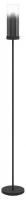 Торшер Eglo TOOTHILL 44004