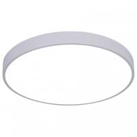 Накладной светильник Arte Lamp Arena A2670PL-1WH