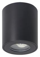 Накладной светильник Arte Lamp Tino A1469PL-1BK