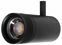 Светильник на штанге Lightstar Canno Pro 304307