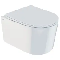 Унитаз подвесной IDDIS Stone STORDSEi25 безободковый, с сиденьем микролифт, белый