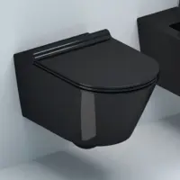 Унитаз подвесной Mira MR-B3649B безободковый, с сиденьем микролифт, черный глянец
