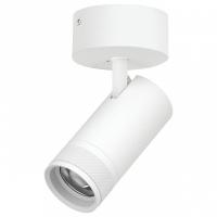 Спот Lightstar Canno Pro C4306SO