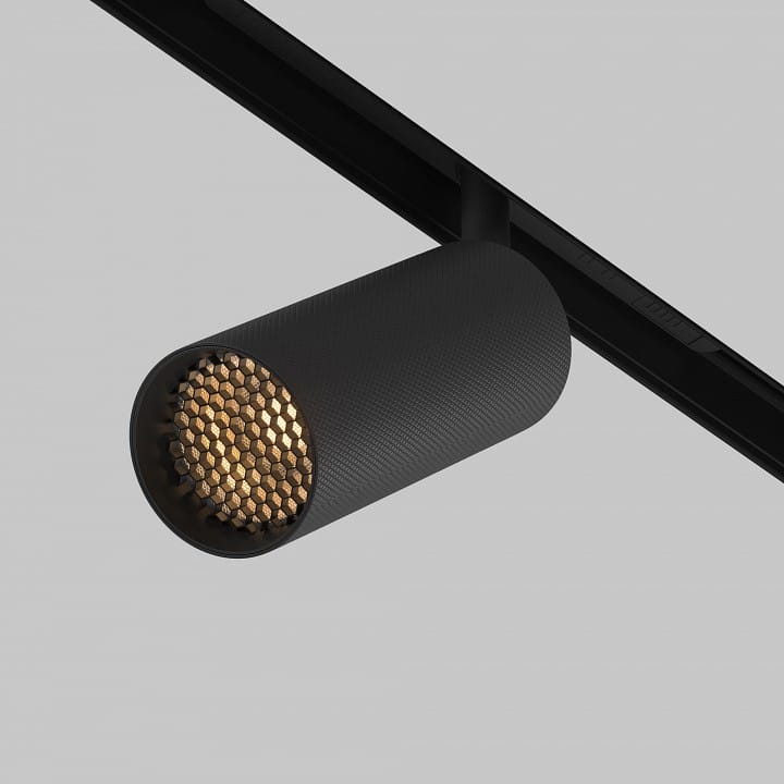 Светильник на штанге Maytoni Technical Мастер TR097-2-12W2.7K-M-BB