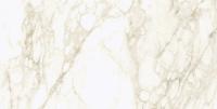 Coliseum Michelangelo Керамогранит Warm 60x120 натуральный