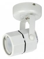 Светильник на штанге Эра OL2 GU10 WH Б0044259