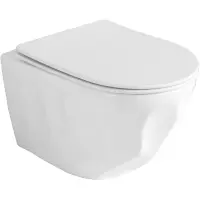 Унитаз подвесной GID Tr2196TFX безободковый, торнадо, с сиденьем микролифт, белый