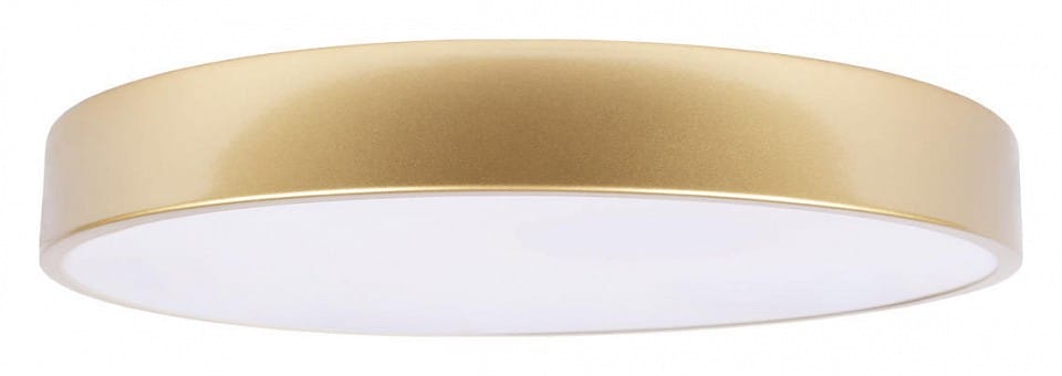 Накладной светильник Loft it Flims 10228/A