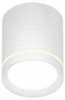 Накладной светильник Denkirs DK401 DK4016-WH