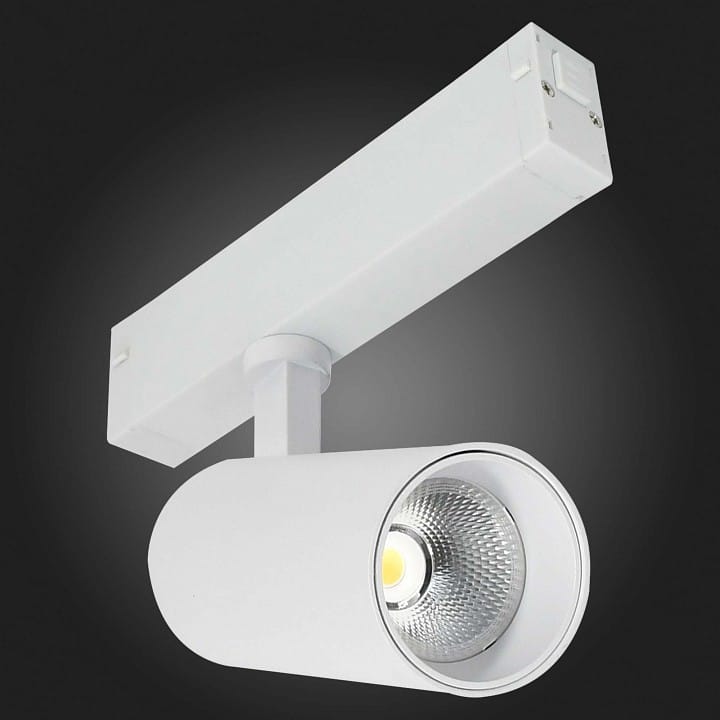 Светильник на штанге ST-Luce SKYLINE 220 ST660.596.10H