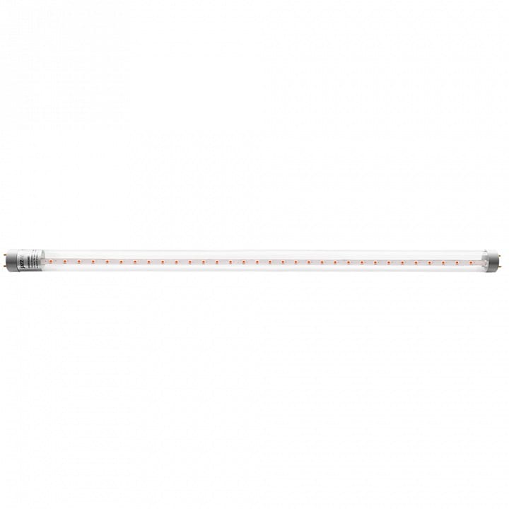 Лампа светодиодная Jazzway  G13 12Вт K PLED T8   900 Agro   12w CL