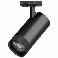 Светильник на штанге Lightstar Canno Pro C4307SS