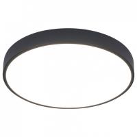 Накладной светильник Arte Lamp Arena A2661PL-1BK