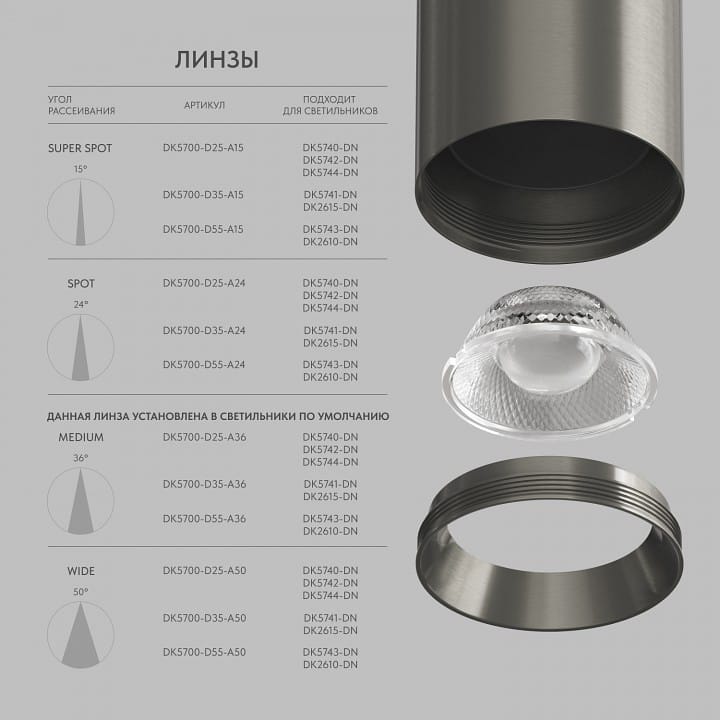 Накладной светильник Denkirs SHINE SPOT DK5743-DN