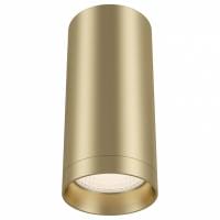 Накладной светильник Maytoni Technical Фокус C010CL-01MG