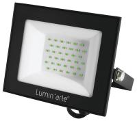 Настенно-потолочный прожектор Luminarte LFL LFL-50W/07