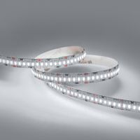 Лента светодиодная Eleganz LUX EL-24V-24W