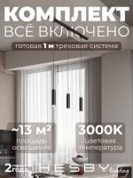 Комплект трековый Hesby Lighting Skylite №12 HSBL_kompl_S012_NI1B3K