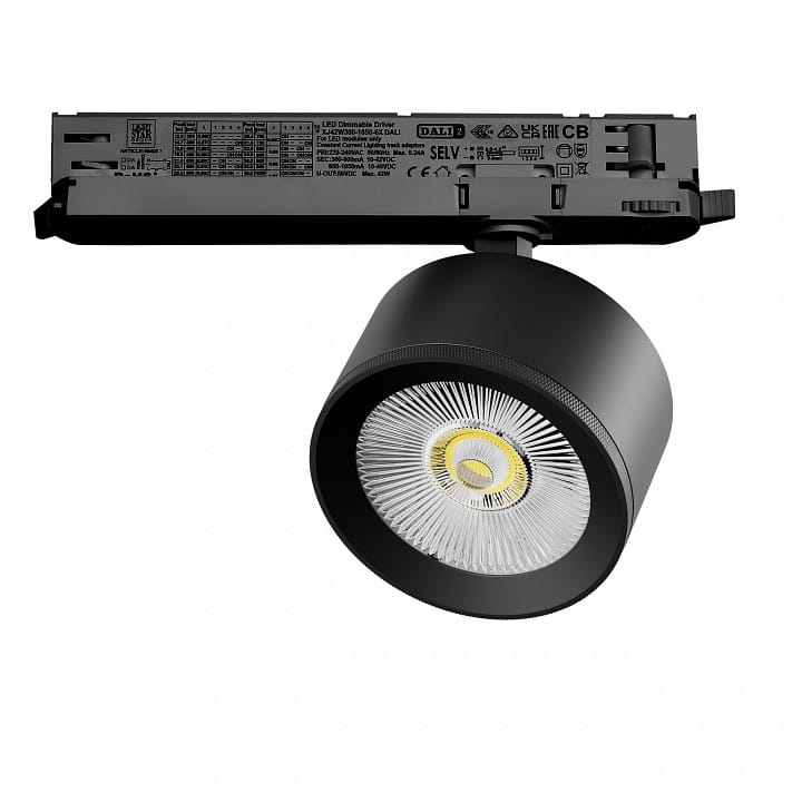 Светильник на штанге Lightstar Alta Pro A5547DALI