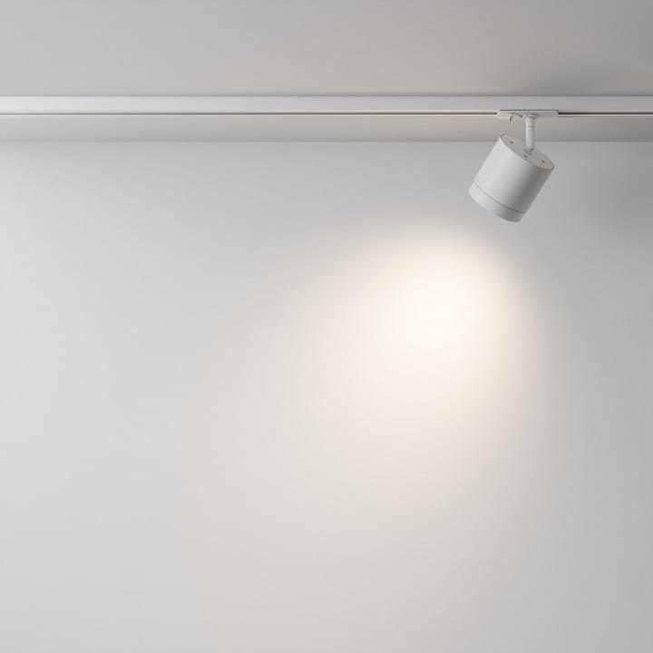 Светильник на штанге Maytoni Technical Полярный TR088-1-GX53-W