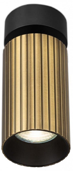 Накладной светильник Citilux AXEL CL512213R