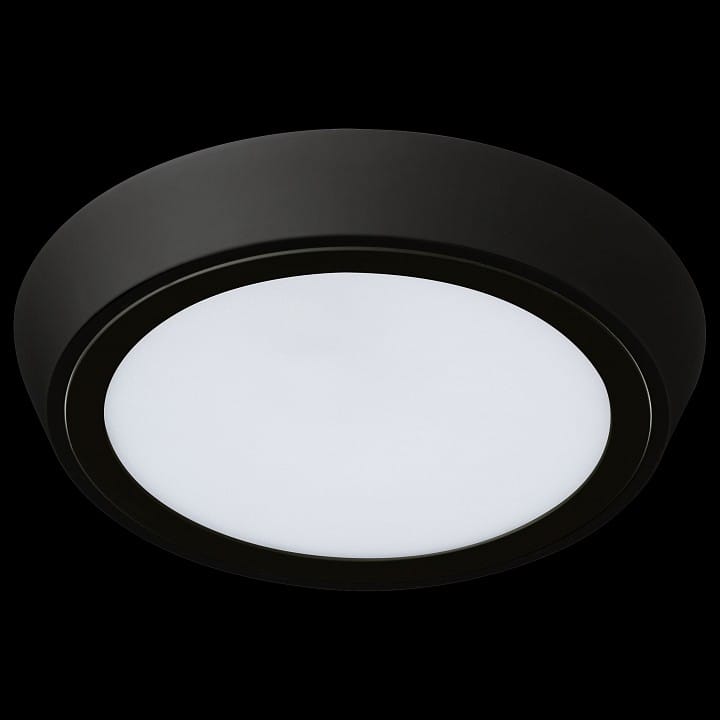 Накладной светильник Lightstar Urbano 216972