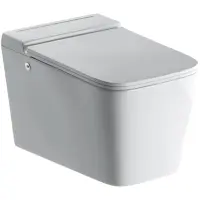 Унитаз подвесной Grossman GR-5501 импульсный, с сиденьем микролифт, белый