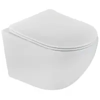 Унитаз подвесной Teka Manacor 117320002 безободковый, с сиденьем микролифт, белый