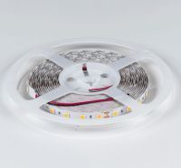 Лента светодиодная DesignLed DSG560 00-00000521