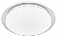 Накладной светильник Ambrella Light FZ FZ1047