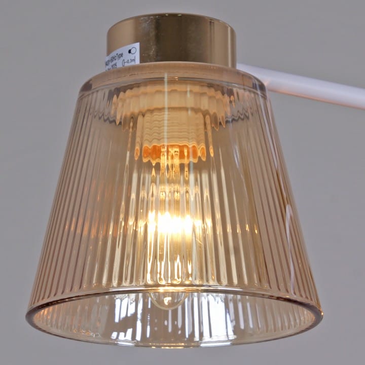 Люстра на штанге Reluce  20560-0.3-03 WH+FG
